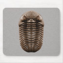 Search for earth science mousepads Geology