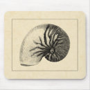 Search for seashell mousepads Conch