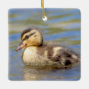 Search for duckling christmas tree decorations Animal