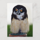 Search for spectacle postcards Animals