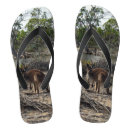 Search for kangaroo jandals Australian