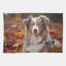 Search for australian shepherd tea towels Pet