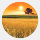 Search for red sunset stickers Photography