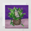 Search for bucket cards Cat