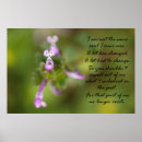 Search for optimism posters Hope