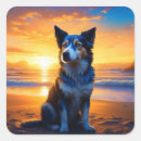 Search for beach dog stickers Sunset