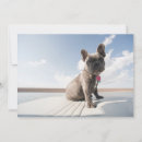 Search for bulldog thank you cards Canine