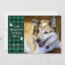 Search for naughty dog cards Naughty and nice