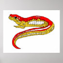 Search for salamander posters Illustration