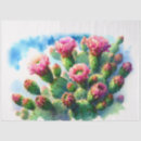 Search for cactus tissue paper Desert flowers