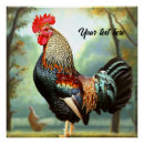 Search for rooster posters Fowl