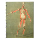 Search for body notebooks Anatomy