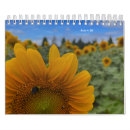 Search for sunflower calendars Floral