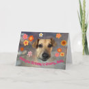 Search for groovy birthday cards Flowers