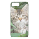 Search for maine coon cat iphone cases Cute
