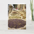 Search for herb cards Photography