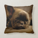 Search for french bulldog cushions Animals