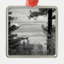 Search for white pine christmas tree decorations Black and white