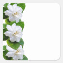 Search for gardenia stickers White