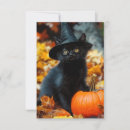 Search for black cat thank you cards Pumpkin
