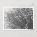 Search for fotos postcards Postkarte