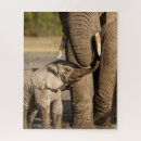 Search for african elephant puzzles Tanzania