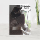 Search for funny photographer cards Humour