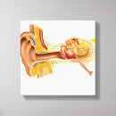 Search for ear art Anatomy