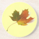 Search for maple coasters Fall