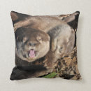 Search for otter cushions Nature