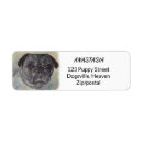 Search for happy dogs return address labels Birthday