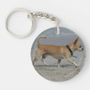 Search for beach walk accessories Sand