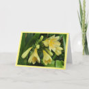 Search for nature border cards For her