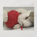 Search for studio shot postcards Close up