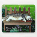 Search for asleep electronics Cat
