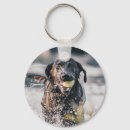 Search for black labrador key rings Cute