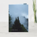 Search for new zealand tree cards Nature