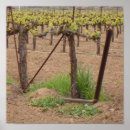 Search for wineries posters California