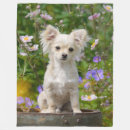Search for chihuahua blankets Pet