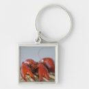 Search for close key rings Indoors