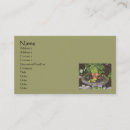 Search for fairy business cards Flower