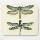 Search for dragonfly electronics Animals