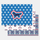 Search for 4th of july wrapping paper America