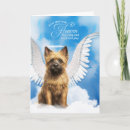 Search for angel dog loss pet sympathy cards Dogs