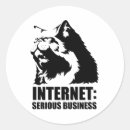 Search for serious stickers Cats