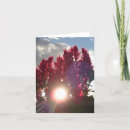 Search for flame red cards Bright