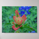 Search for multi region art Floral