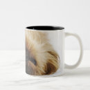 Search for pekingese dog mugs Horizontal
