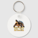 Search for turtle shell key rings Beach