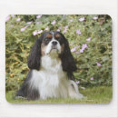 Search for the yard mousepads Front or back yard